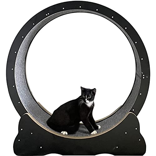 Cat Wheel Holz-Katzenlaufband für Hauskatzen, schwarzes Trainingsgerät, Katzenkratzbrett/Krabbelregal, für die meisten Katzen, M-Schwarz von DIIDIIFF