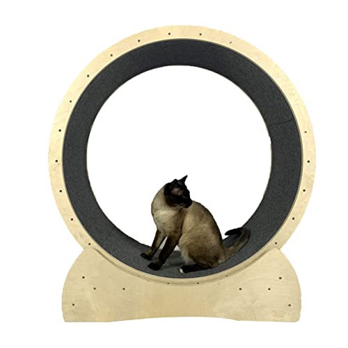 Cats Wheel Katzenlaufband mit Riesenrad, Katzenübungsgerät zur Gewichtsreduktion für Katzen im Innenbereich, Bewegungsrad für Katzen von DIIDIIFF