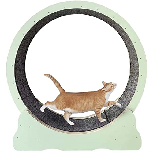 Extreme Cat Wheel Workout Game Trainer für Katzen, Laufband mit Teppichboden, Katzensportspielzeug zum Laufen, Spinning, Klettern, M-Grün von DIIDIIFF