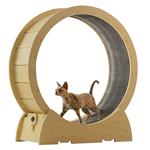 Großer Katzenlauftrainer für den Innenbereich, geräuschloses Laufrad aus Holz mit drehbarem Laufrad für Katzen, leicht zu reinigen und zu installieren von DIIDIIFF