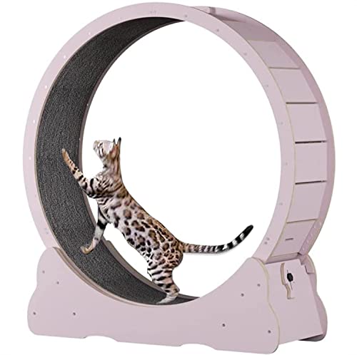 Großer Katzenlauftrainer mit Teppichlaufbahn, rundes großes Katzenlaufband, für kleine/mittlere Haustierübungen im Innenbereich, XL-Braun von DIIDIIFF
