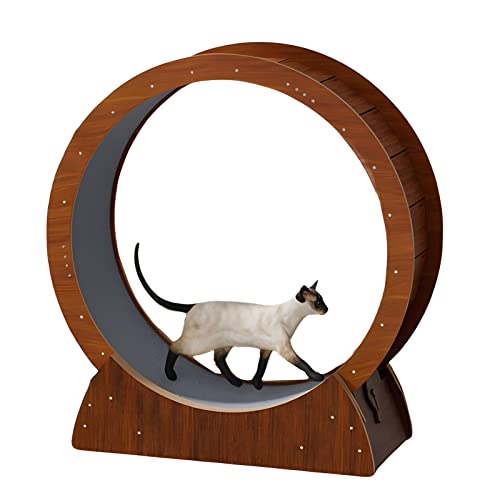 Großes Indoor-Katzenspielzeug-Übungsrad mit Lücken-Anti-Klemm-Design, niedliches braunes Katzenrad aus Holz für alle Katzen von DIIDIIFF