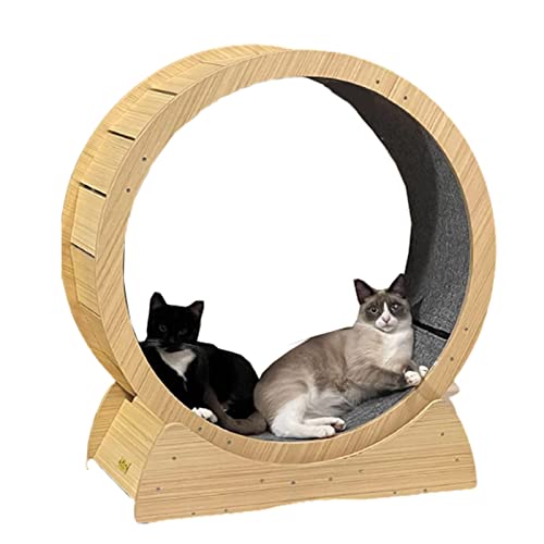 Großes Katzenlaufband aus Holz mit Teppichboden, Fitness, Katzensportspielzeug für EIN längeres Katzenleben von DIIDIIFF