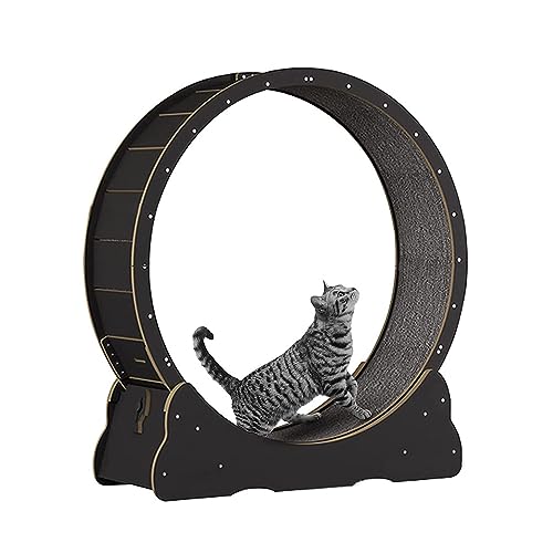Haustier-Katzenlaufband für Hauskatzen, mit Teppichboden, geräuschloses Katzenaktivitätsspielzeug, einfach zu montierendes Katzenspielzeug von DIIDIIFF