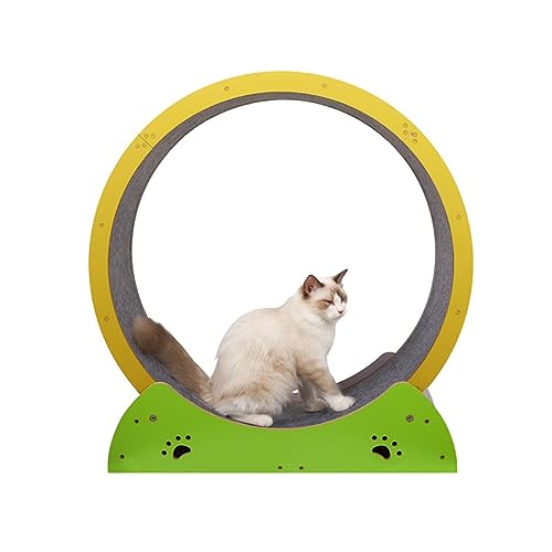 Haustier-Katzenrad, Laufband, geräuschlos mit Bremse, für Hauskatzen, einfach zu montierendes Katzenspielzeug von DIIDIIFF
