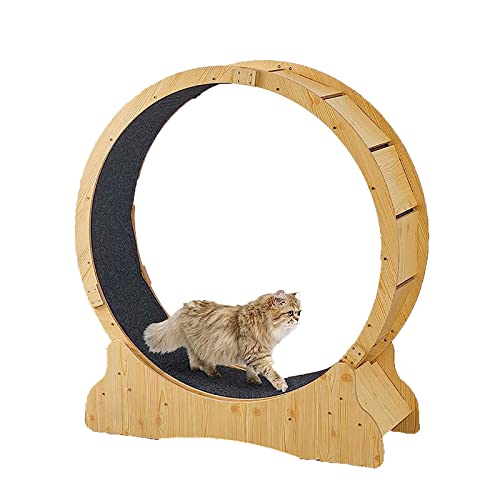 Haustier-Laufband, Katzen-Übungsrad mit Teppichboden und geräuschlosem Rollen-Katzenrad zum Abnehmen von Haustieren und Bewegungsrad für Katzen von DIIDIIFF