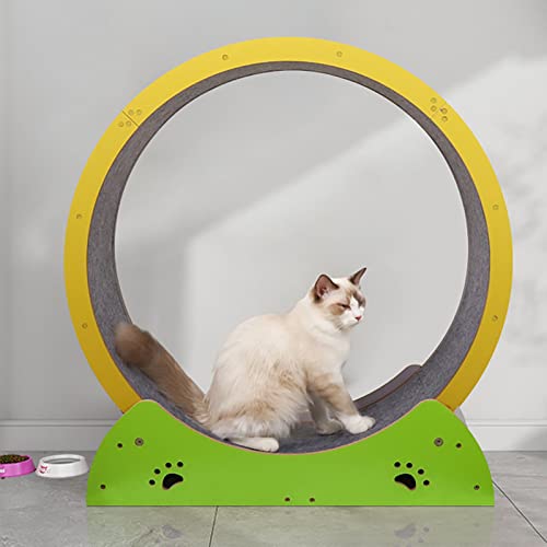 Hölzernes Laufband für Hauskatzen, gelbgrünes Kätzchenspielzeug mit leisen Rollen von DIIDIIFF