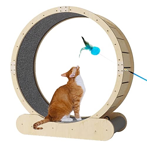 Holzfarbenes Katzenlaufband/Übungsrad mit Federstabspielzeug, Tiny GapSilent Roller Device von DIIDIIFF