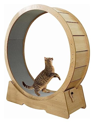 Katzen-Laufband, Katzen-Spinnerrad-Spielzeug mit Teppichboden, Katzen-Riesenrad im Hamsterrad-Stil von DIIDIIFF