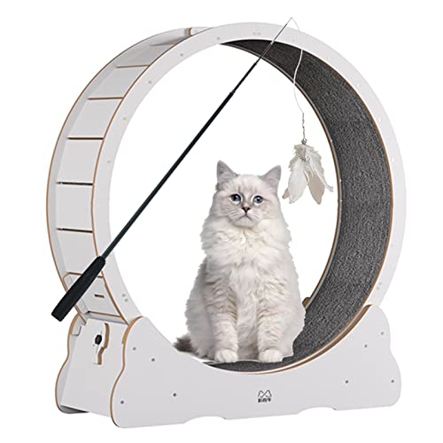 Katzenlaufband, Haustiermöbel für kleine/große Katzen, stummgeschaltetes, leichtgängiges Spinnerrad-Spielspielzeug für die Katzengesundheit von DIIDIIFF