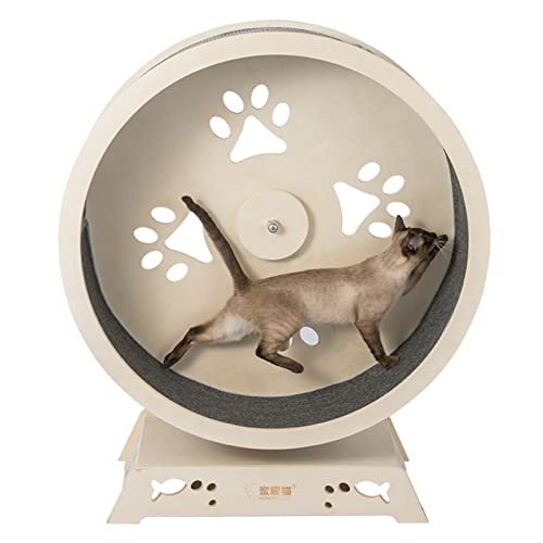 Katzenlaufband, Spin-Cat-Wheel-Trainingsgerät für Hauskatzen, leise Laufmaschine mit kleinen Lücken, Laufband für Haustiermöbel, für energiegeladene Katzen von DIIDIIFF