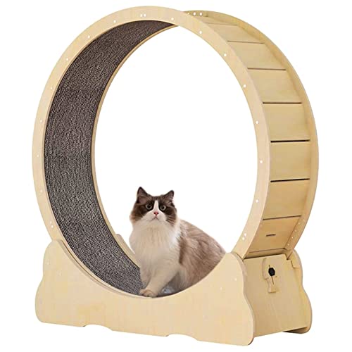 Katzenlaufband, lückenloses Design-Übungsrad für Hauskatzen, Sicherheits-Anti-Klemm-Gewichtsverlustgerät für geräuschlose Katzen mit Feststellvorrichtung,M von DIIDIIFF