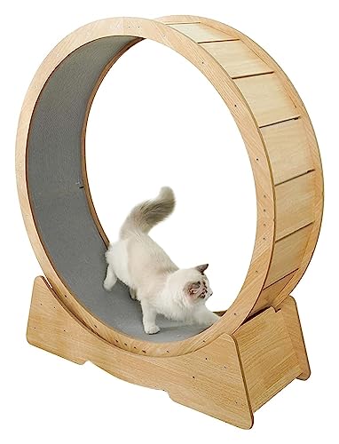 Katzenlaufband Anti-Klemm-Katzengewichtsverlust-Kätzchen-Riesenrad, als Katzenkratzer/Katzenspielzeug/Katzenbaum von DIIDIIFF