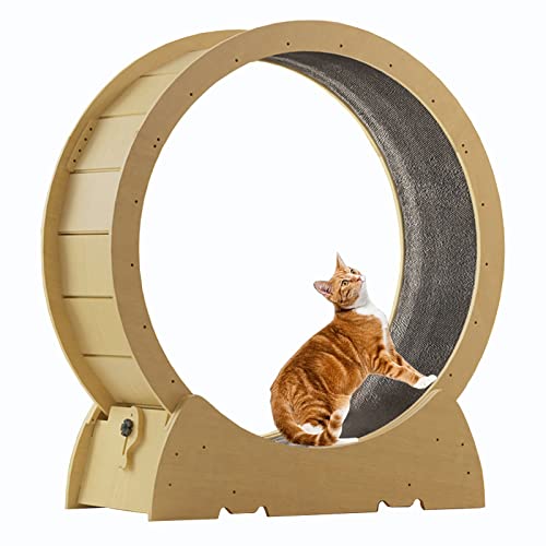 Katzenlaufband – Lauf-, Dreh- und Kratzspaß, für Hauskatzen, Trainingsgerät, natürliche Holzfarbe von DIIDIIFF