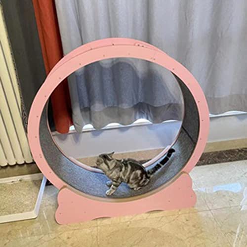 Katzenlaufband Tiny Gap Katzenrad-Übungslaufgerät für kleine/große Katzen, Katzenlaufband, Haustiermöbel, Laufen, Drehen, Kratzen, Spaß, geräuscharm von DIIDIIFF