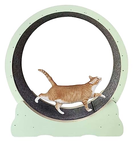 Katzenlaufband Tiny Gap Leises, verschleißfestes Katzenhamsterrad, Katzenklettergerüst/Katzenkratzer von DIIDIIFF