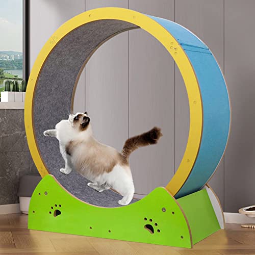 Katzenrad-Trainingsgerät für Hauskatzen, großes Übungsspielzeug, niedliche Katzenmöbel, Katzen-Trainingsspiel von DIIDIIFF