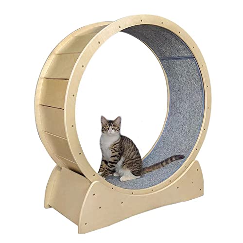 Katzenrad-Übungsgerät für Hauskatzen, runder Katzenbaum im Hamsterrad-Stil mit Teppichlaufbahn, Rutschfester Schiene, reibungsloser Lauf von DIIDIIFF