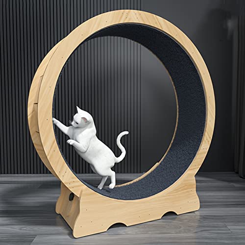 Klein, mittelgroß, groß – Holz-Katzenlaufband für Katzen im Innenbereich, leises Katzenrad-Spielzeug/Katzenkratzbrett von DIIDIIFF