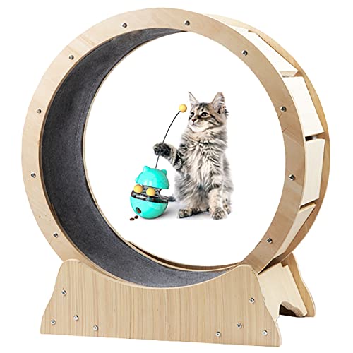 Klein mit Nicht herunterfallendem Spielzeug, Katzenlaufband aus massivem Holz – geräuschlose Drehung, holzfarbenes Kätzchen-Kratz-Sportlaufrad von DIIDIIFF