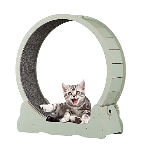 Laufband, grünes Anti-Klemm-Katzenrad-Trainingsgerät für Hauskatzen, kleine/mittlere/große Spielzeuge von DIIDIIFF