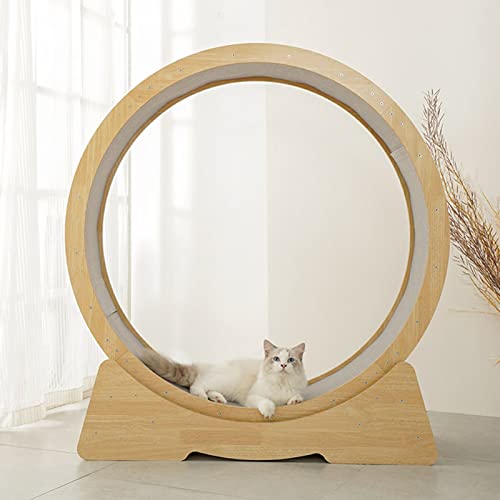 Laufband aus Naturholz, geräuscharmes Katzenlaufband Ferris, drehbare CatCat-Möbel, mit Teppichboden von DIIDIIFF