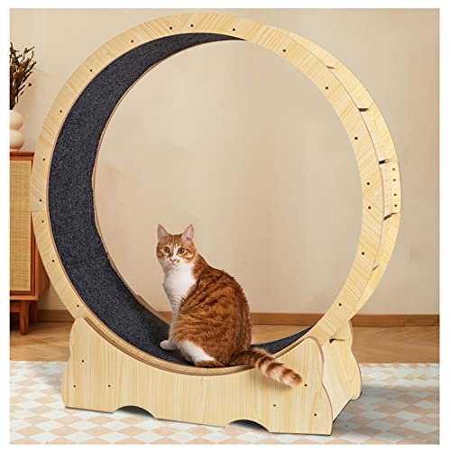 Laufband für Katzen in Allen Größen, Indoor-Übungslaufrad für Katzen mit leisen Rollen, Abnehmbarer, mit Teppich ausgelegter Laufbahn und Verriegelungsmechanismus von DIIDIIFF