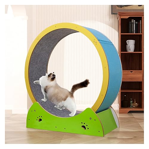 Massivholz-Katzenrad, Haustier-Katzen-Laufbandspielzeug, geräuschlos für Hauskatzen, Durchmesser 75 cm/29,52 Zoll für alle Katzen-Katzenspielzeuge von DIIDIIFF