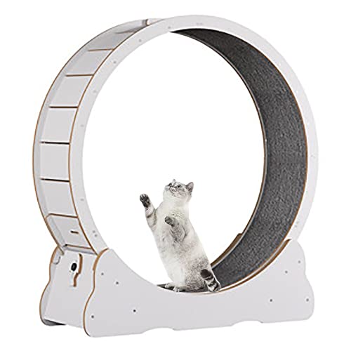Weißer Katzenlauftrainer für Hauskatzen, 31"/35"/39" leises Katzenlaufband, mit austauschbaren Griffpolstern (Sicherheitsschloss) von DIIDIIFF