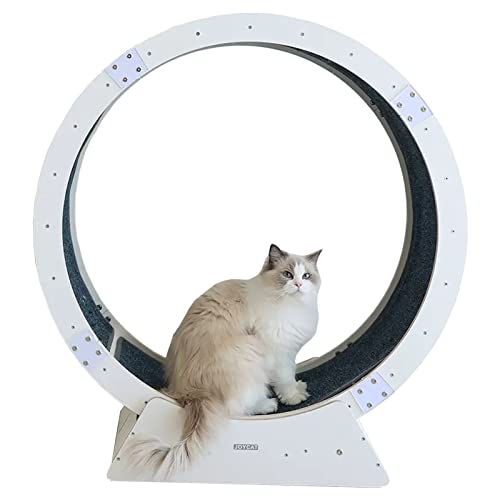 Weißes Indoor-Katzenlaufband mit winzigen Lücken und Anti-Einklemm-Funktion, Katzensportspielzeug für eine längere Lebensdauer, mit Sicherheitsverriegelung von DIIDIIFF