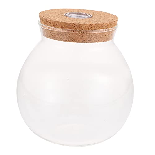 DIKACA Bunte ökologische Flasche Glasbehälter für Terrarium Pflanzgefäße aus Glas Pflanzendekor Vase einfache Glasflasche transparente Flasche Handbuch schmücken Bastelflasche Eco-Flasche von DIKACA