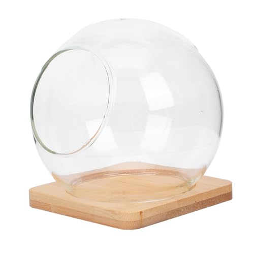 DIKACA 1 Satz Doppelte Flasche Terrarium Blumentopf Mikro-Landschaftstopf hydroponischer terrariumbehälter Landschaft Flasche Pflanzer Terrarium Mikro-Landschaftsbau-Flasche Glas DIKACA 1 Satz Doppelte Flasche Terrarium Blumentopf Mikro-Landschaftstopf hydroponischer terrariumbehälter Landschaft Flasche Pflanzer Terrarium Mikro-Landschaftsbau-Flasche Glas von DIKACA