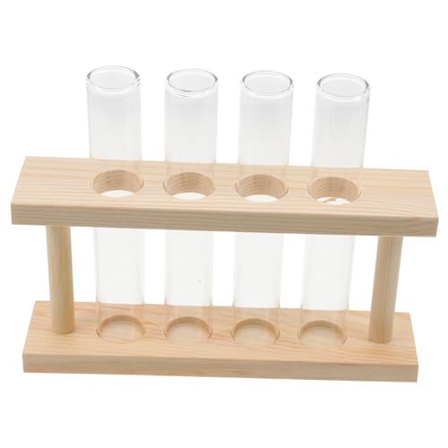 DIKACA 1 Set Hydrokulturvase Hängepflanzenröhren Luftpflanzen Terrarium Einzigartiger Testdekorbehälter Hängekorb Hydrokulturpflanzen Für Den Innenbereich Künstliche Pflanzen von DIKACA