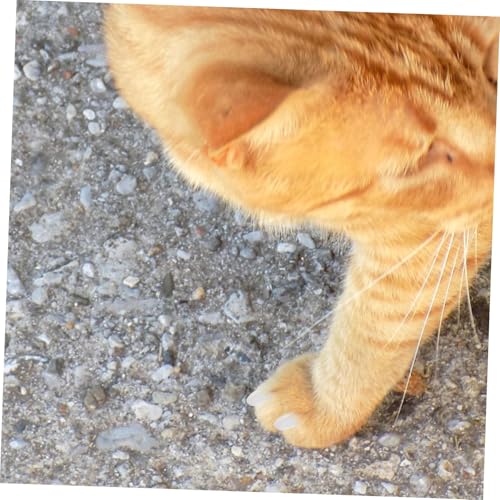 DIKACA 2 Packungen Pet Abdeckungen aus Langlebigem TPR Material Kratzfeste Sichere Pfotenschutz für Kleine Hunde und Katzen Einfache Anwendung Schützende Krallenschutz Abdeckungen Weiß S von DIKACA