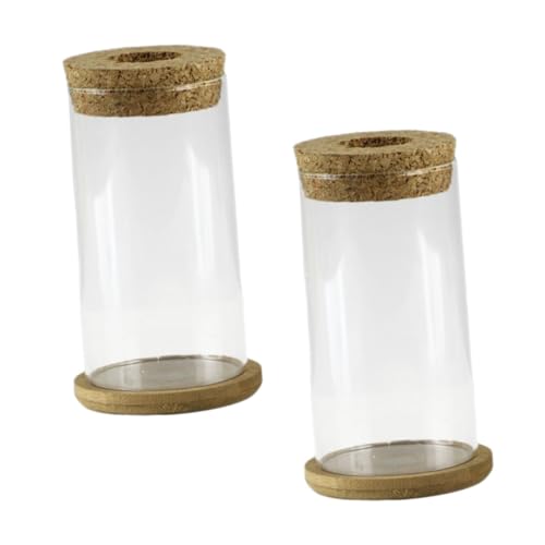 DIKACA 2 Sätze Hydroponische Vase Grünpflanzenbehälter Gefälscht Halter Für Blumenkunst Getrocknet Vasen Klare Vase Blumen- Saftig Töpfe Für Pflanzen Im Freien Samen Blätter Hölzern DIKACA 2 Sätze Hydroponische Vase Grünpflanzenbehälter Gefälscht Halter Für Blumenkunst Getrocknet Vasen Klare Vase Blumen- Saftig Töpfe Für Pflanzen Im Freien Samen Blätter Hölzern von DIKACA