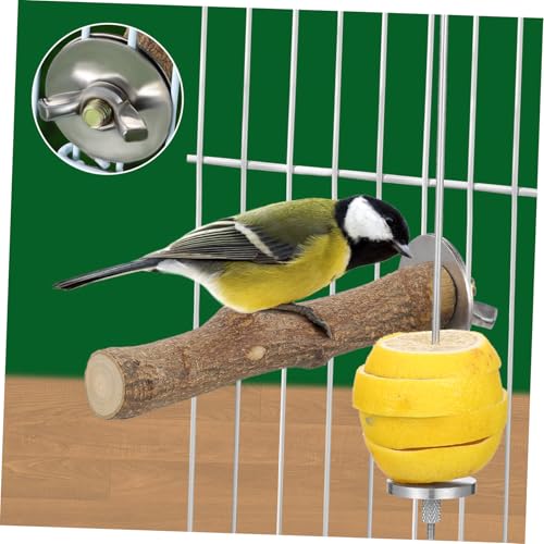DIKACA 2 Stück Edelstahl Obstspieße für Vogelkäfige Langlebige Futtersuche Halterung für Wellensittiche Papageien Leicht zu Reinigen Geeignet für Kleine bis Mittelgroße Vögel von DIKACA