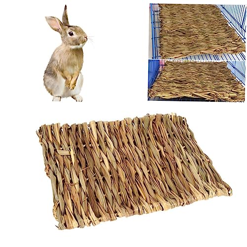 DIKACA 2 Stück Essbare Grasmatten für Kleintiere Natürliche Kauspielzeuge und Schutzmatten für Kaninchen Meerschweinchen Hamster und Nagerkäfige Komfortable Liegeflächen DIKACA 2 Stück Essbare Grasmatten für Kleintiere Natürliche Kauspielzeuge und Schutzmatten für Kaninchen Meerschweinchen Hamster und Nagerkäfige Komfortable Liegeflächen von DIKACA
