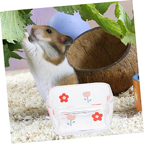 DIKACA 2 Stück Glasschalen für Hamster und Meerschweinchen Quadratischer Boden gegen Umkippen Langlebige Futterschalen aus Einfach zu Reinigen Geeignet für Kleine Haustiere Wie Rennmäuse von DIKACA