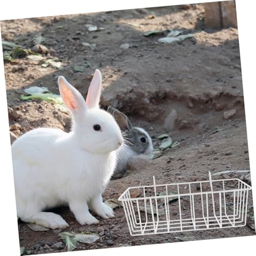 DIKACA 2 Stück Kaninchen Heuraufe Hängend Verschleißfester Heufutterspender für Käfig Sauberer Futterhalter für Hasen Meerschweinchen und Kleine Nager Einfach zu Reinigen und Sparsam von DIKACA