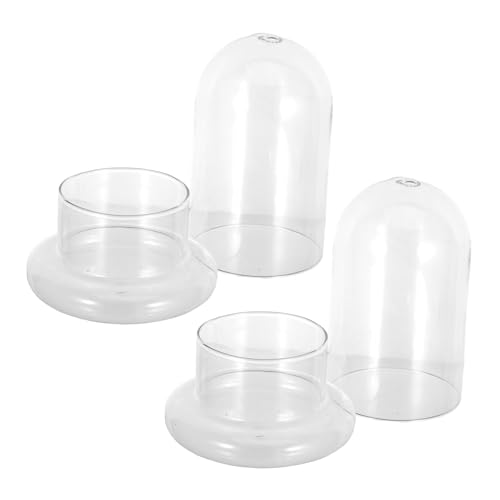 DIKACA 2 Stück Moosflasche Hochwertigem Borosilikatglas Landschafts Dekorationsflasche für Terrarien und Flaschengarten für Wohnräume und zu Besonderen Anlässen DIKACA 2 Stück Moosflasche Hochwertigem Borosilikatglas Landschafts Dekorationsflasche für Terrarien und Flaschengarten für Wohnräume und zu Besonderen Anlässen von DIKACA