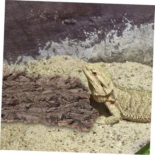 DIKACA 2 Stück Reptilien Kletterrinde Terrarium Versteck Plattform Langlebig Umweltfreundlich Dekorativ für Eidechsen Bartagamen Geeignet Natürlicher Lebensraum von DIKACA