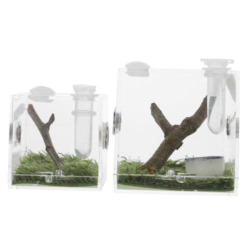 DIKACA 2 Stück Teiliges Terrarium für Springspinnen und Kleine Reptilien Robuste Aufzucht und Fütterungsbox mit Belüftung Transparentes Gehäuse zur Sicheren Haltung und Optimalen von DIKACA