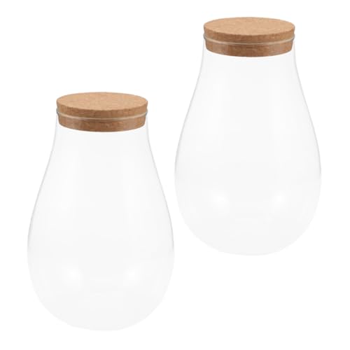 DIKACA 2 Stück Terrarium Glasflasche DIY Landschaftsbehälter mit Korkverschluss für Pflanzen Moos und Deko für Innenräume und Garten DIKACA 2 Stück Terrarium Glasflasche DIY Landschaftsbehälter mit Korkverschluss für Pflanzen Moos und Deko für Innenräume und Garten von DIKACA