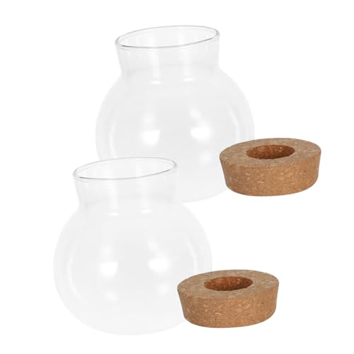 DIKACA 2pcs Hydroponische Pflanze Vasen Kleine Glas -Terrarium -behälter Für Büroschreibtisch Transparente Anlagen -propagationsstation Glasvase Mit Kork (480 Ml) von DIKACA