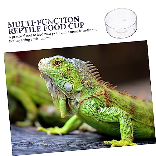 DIKACA 30 Stück Teiliges Reptilienfutter Wasserschalen Transparent rutschfest Vielseitig Einsetzbar für Schildkröten Geckos Schlangen und Echsen im Terrarium von DIKACA