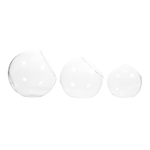 DIKACA 3Stücke Glasflasche Für Landschaften Pflanze Terrarium Halter Für Luftpflanzen DIY Glasbehälter Hotel Und DIKACA 3Stücke Glasflasche Für Landschaften Pflanze Terrarium Halter Für Luftpflanzen DIY Glasbehälter Hotel Und von DIKACA