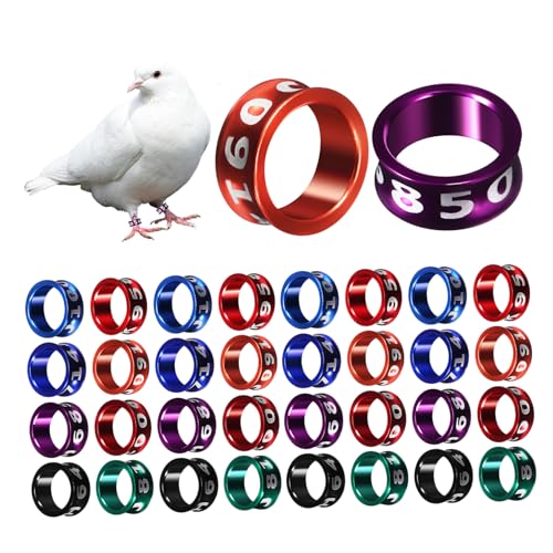 DIKACA 50 Stück Hühnerbeinbänder Metallische Geschlossene Vogelringe Zufälligen Farben für Tauben und Geflügel Beständig Identifizierbar Sicher und Komfortabel Zufällige Zufällige Farbe DIKACA 50 Stück Hühnerbeinbänder Metallische Geschlossene Vogelringe Zufälligen Farben für Tauben und Geflügel Beständig Identifizierbar Sicher und Komfortabel Zufällige Zufällige Farbe von DIKACA