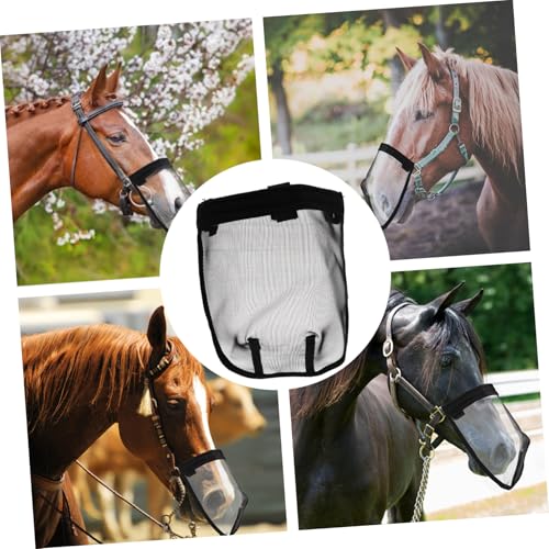 DIKACA Atmungsaktive Pferde Fliegenmaske Mesh Schutzmaske mit Komfortpassform Mittelgroß für Insektenschutz und Bequemen Sitz DIKACA Atmungsaktive Pferde Fliegenmaske Mesh Schutzmaske mit Komfortpassform Mittelgroß für Insektenschutz und Bequemen Sitz von DIKACA