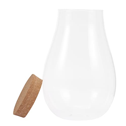 DIKACA Bryophytenbehälter Glasflasche Für DIY Hydroponisches Pflanzenterrarium Transparente Tischdekoration Mit Holzverschluss Für Mikrolandschaften von DIKACA