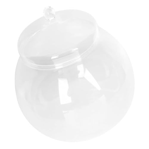 DIKACA Desktop Moos Ökologie Flasche Terrarium mit Design für Kleine Fische und Pflanzen Deko Element für Garten DIKACA Desktop Moos Ökologie Flasche Terrarium mit Design für Kleine Fische und Pflanzen Deko Element für Garten von DIKACA